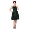Jawbreaker - Penny Taffeta & Lace Flare Kleid - Spitzenblumen - Grün/Schwarz Product image